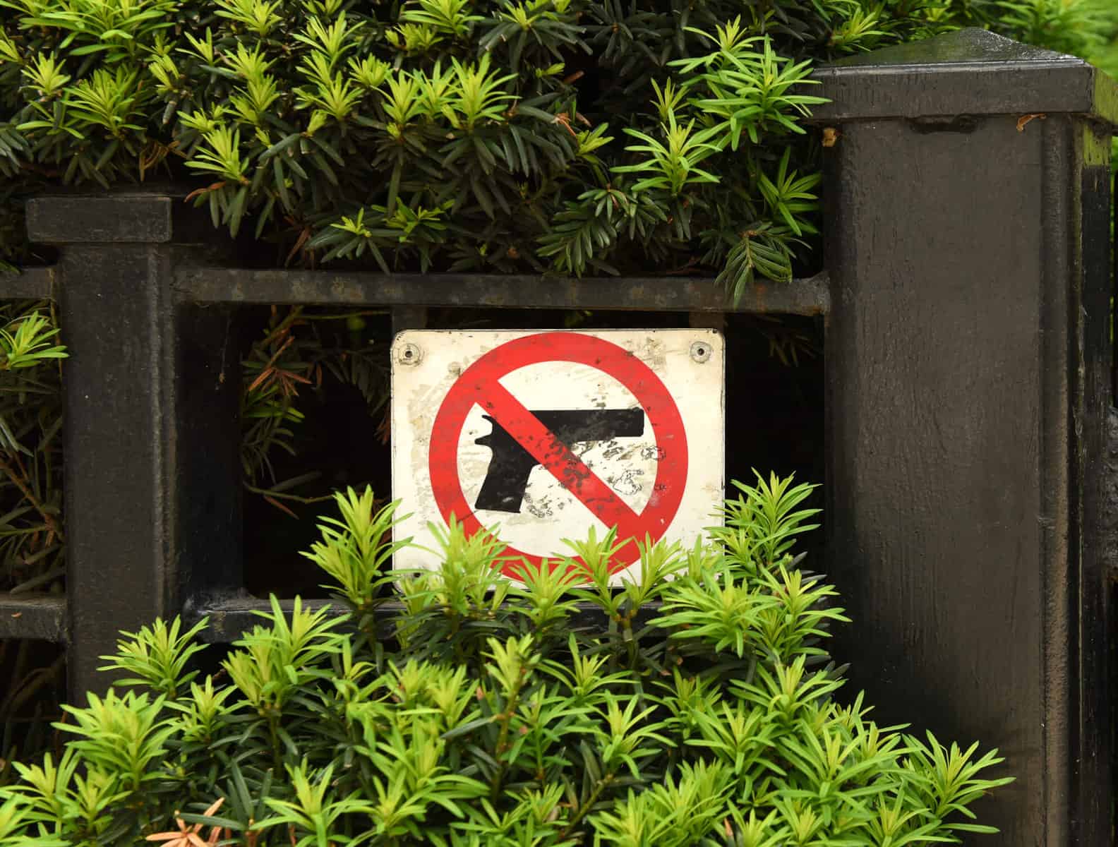 can-a-landlord-ban-guns-in-a-rental-property